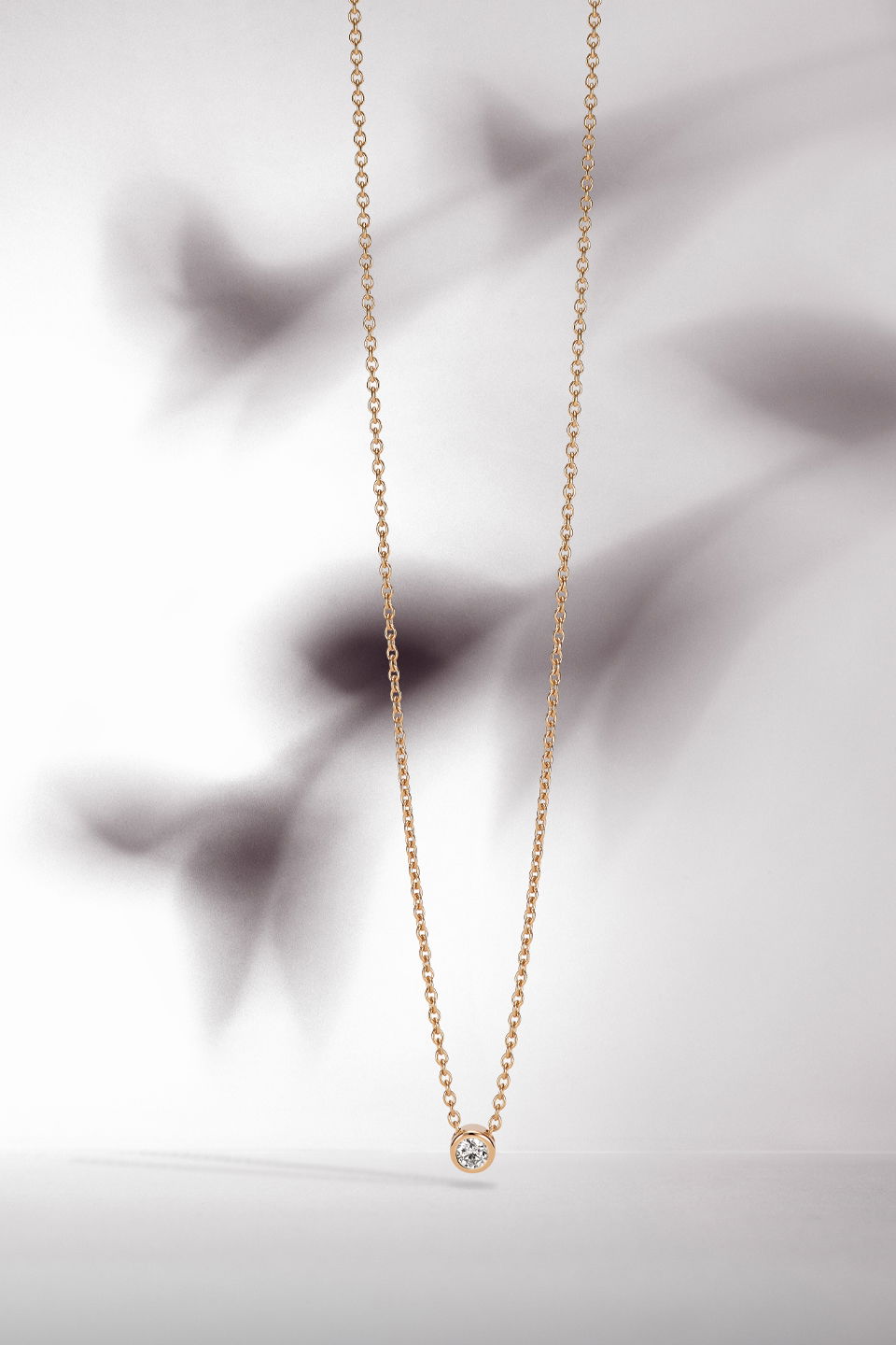 Collection Blossom