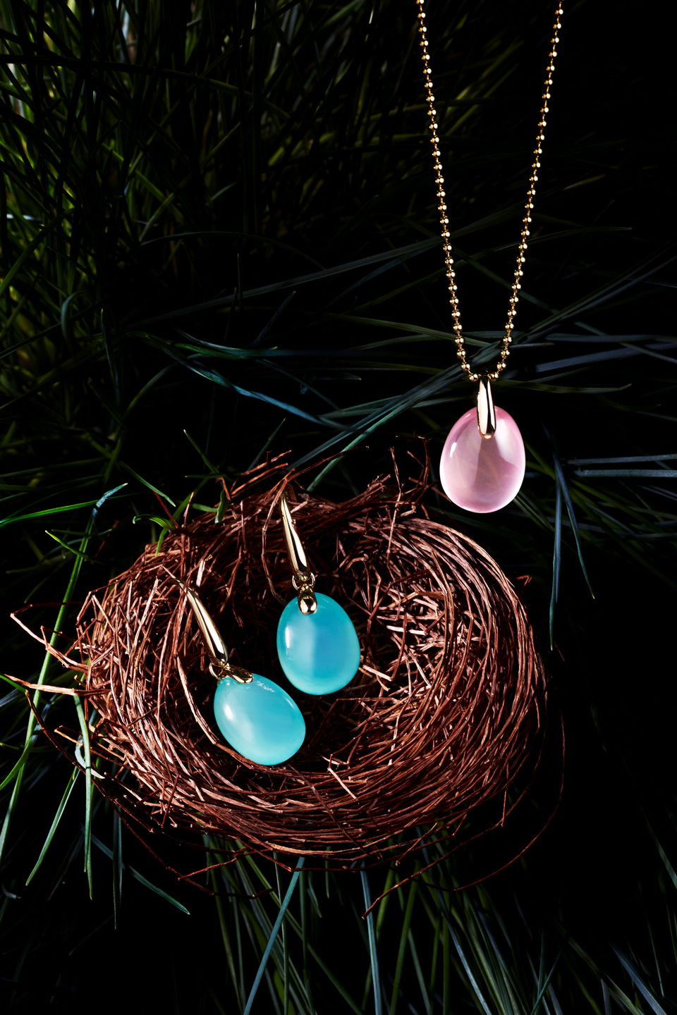 Collection Oiseaux de Paradis