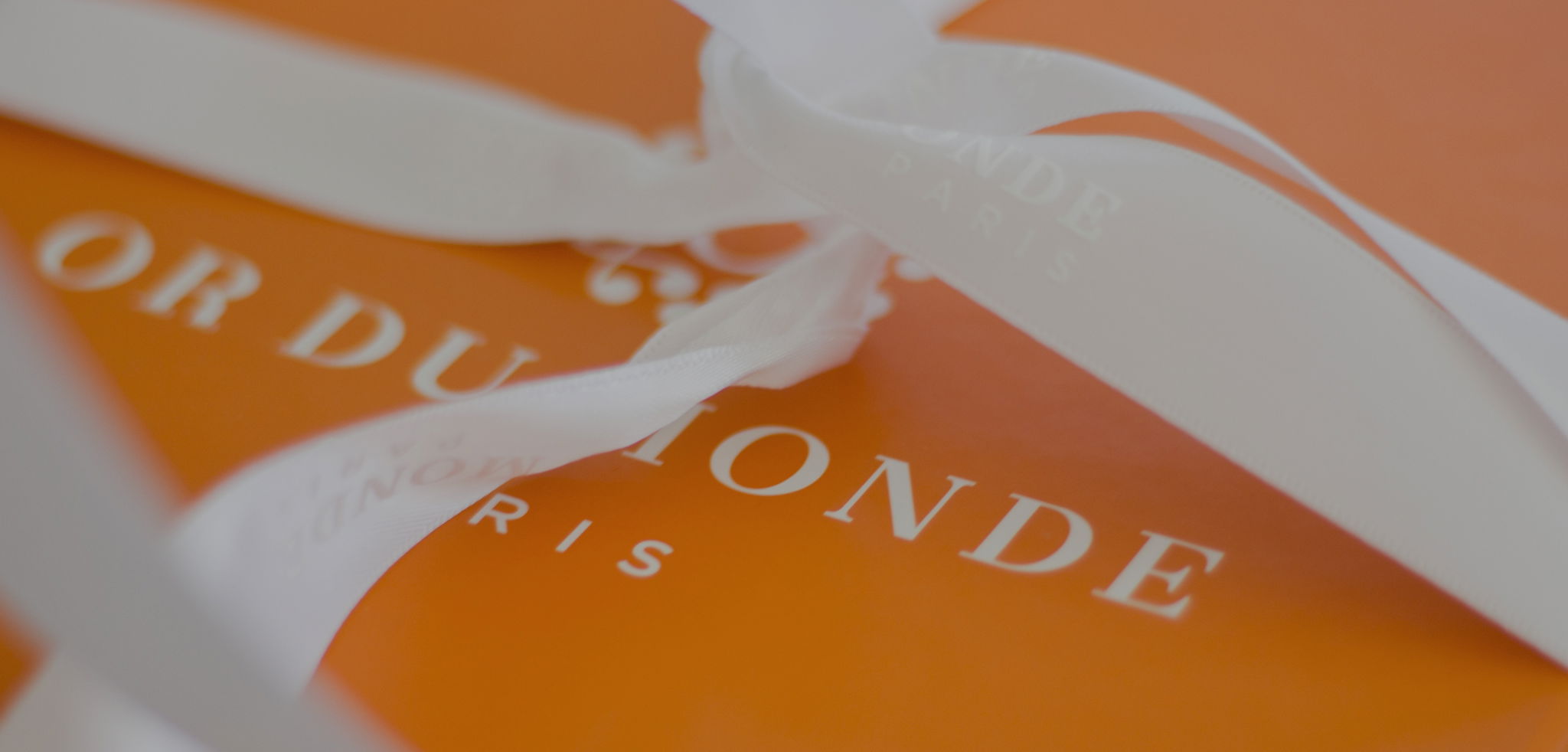S'inscrire à la newsletter OR DU MONDE